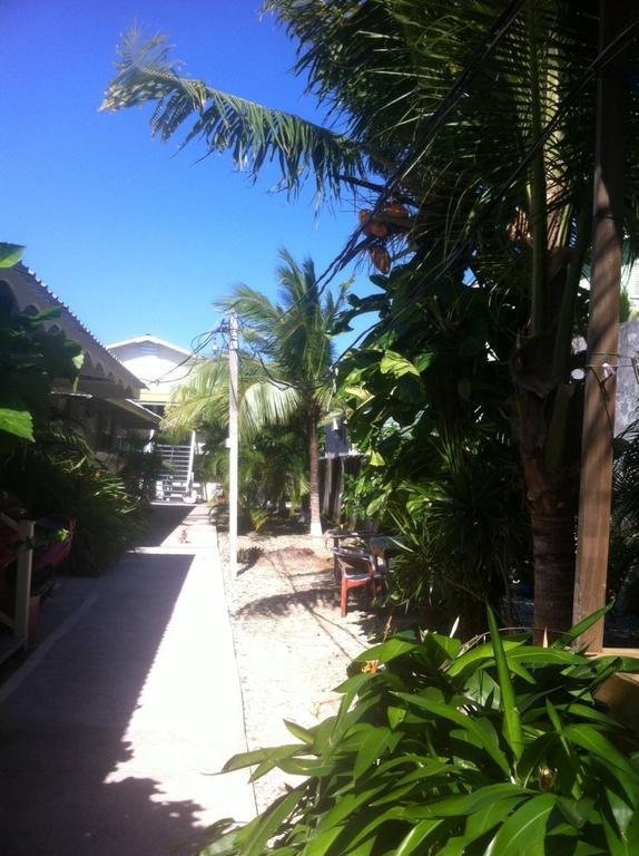 Cooper'S Inn Utila Pokój zdjęcie